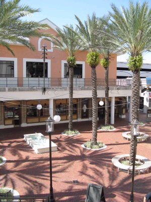 pointeorlando copy